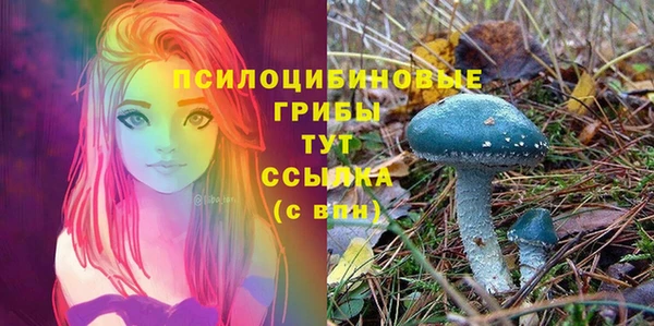 синтетический гашиш Белоозёрский