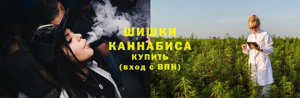 прущие крисы Белокуриха