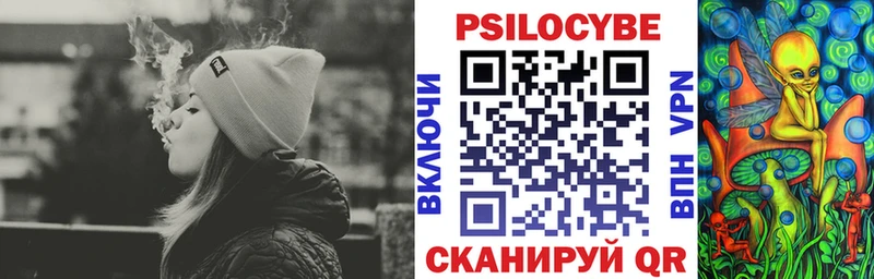 shop наркотические препараты  дарнет шоп  Касли  Галлюциногенные грибы GOLDEN TEACHER 